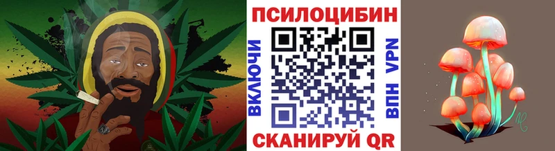 Галлюциногенные грибы Psilocybe  Купить где  Краснокаменск 